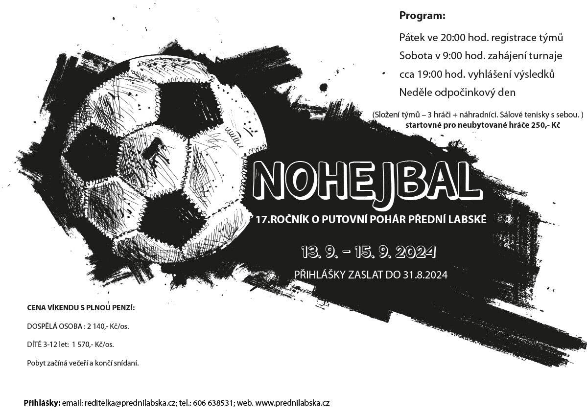 Nohejbal