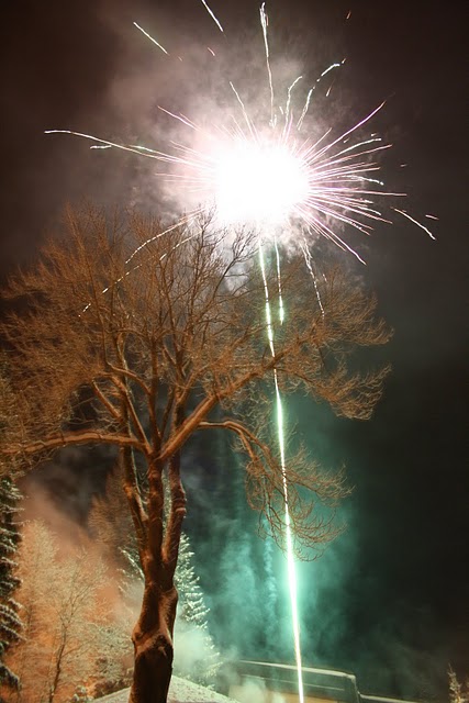 silvestr 06