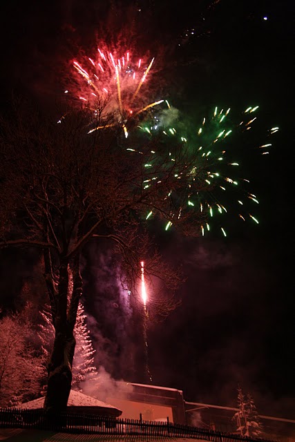 silvestr 07