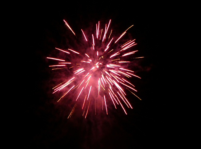 silvestr 10