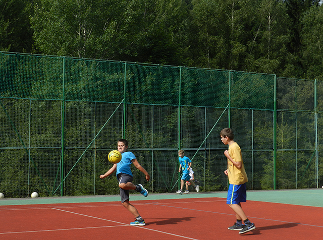 lokomotiva borohradek 12