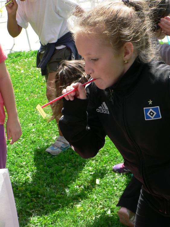 cds 09