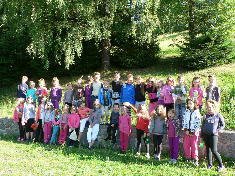 cds 19