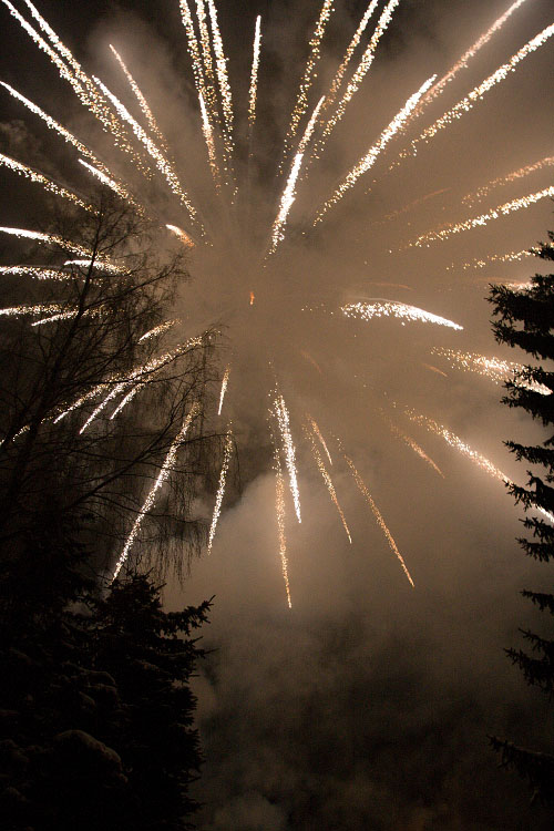 silvestr 47