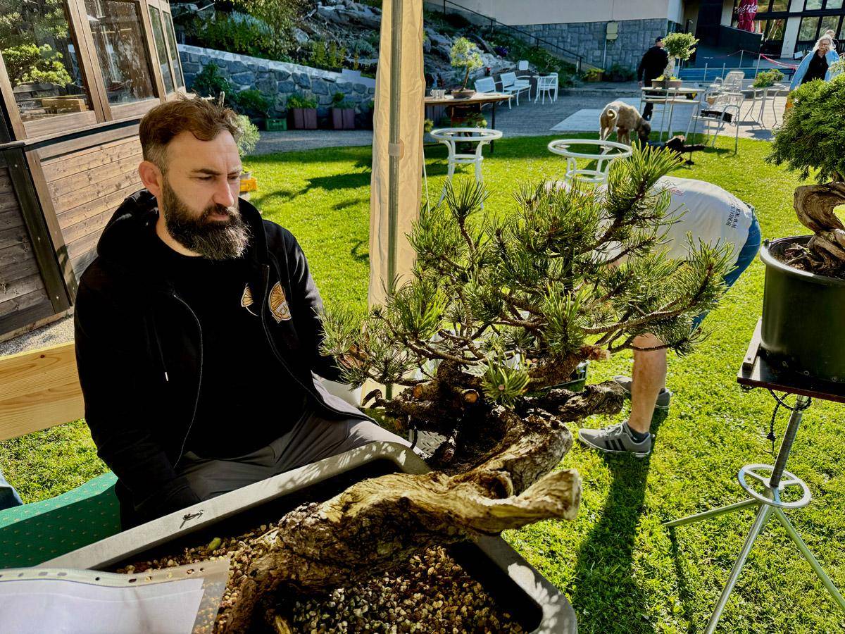 bonsai-skola-05