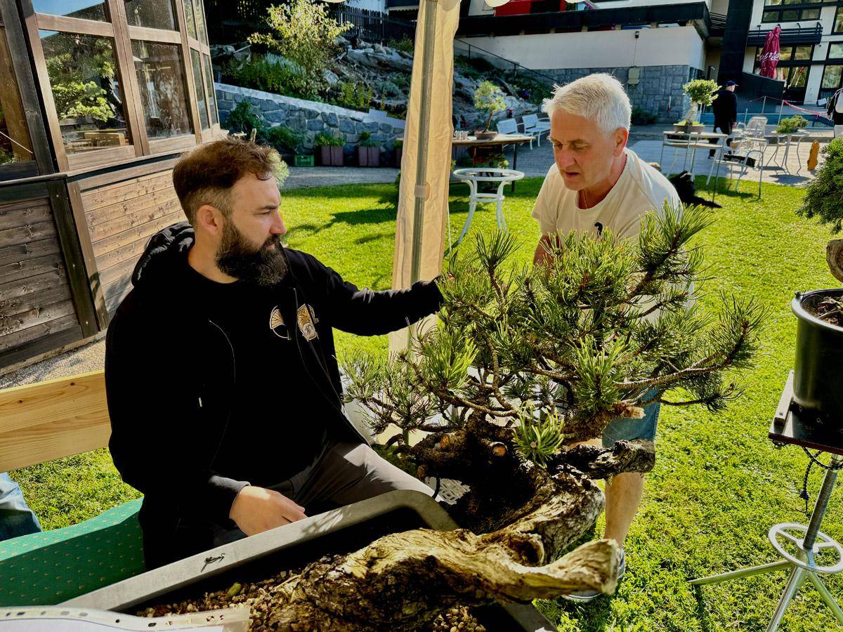 bonsai-skola-06
