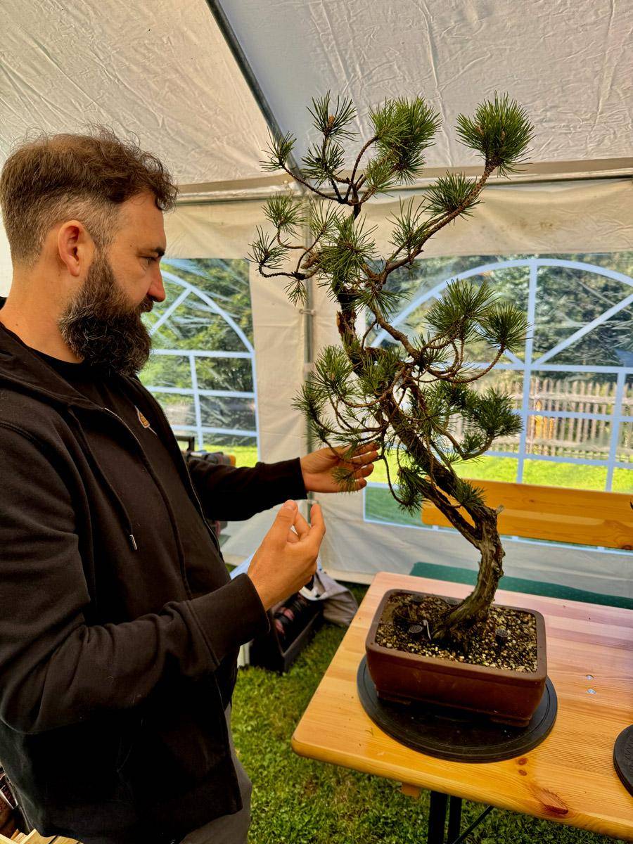 bonsai-skola-08