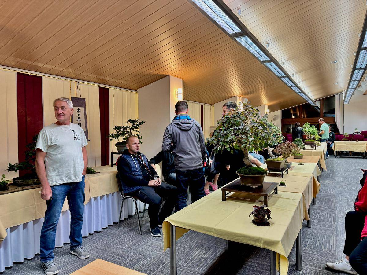 bonsai-skola-118