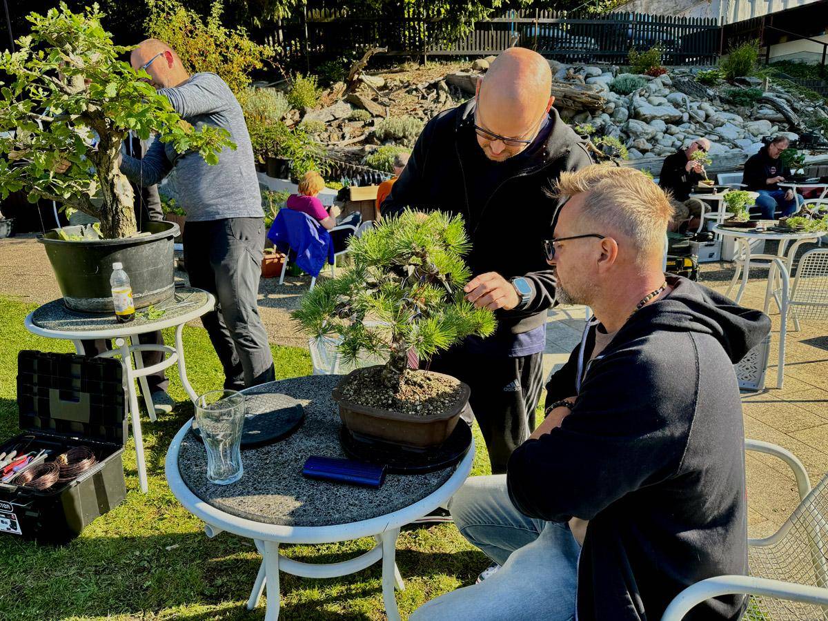 bonsai-skola-137