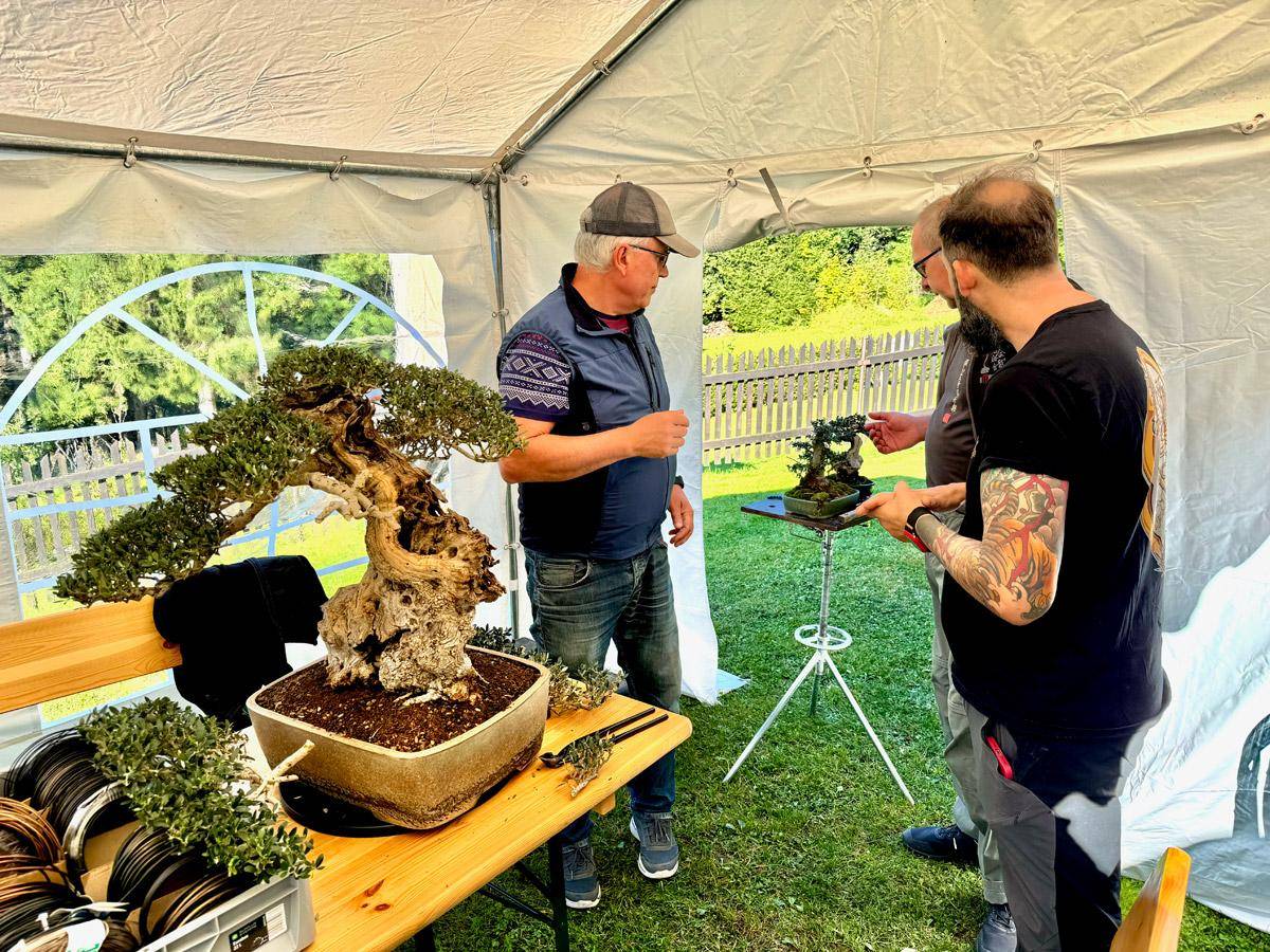 bonsai-skola-145