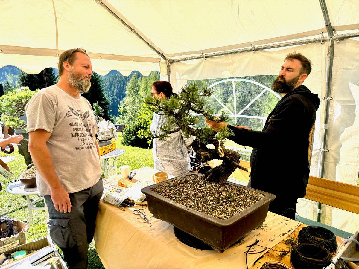 bonsai-skola-155