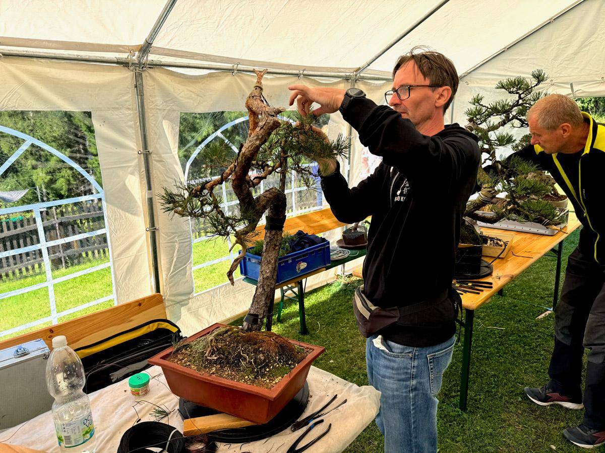 bonsai-skola-156