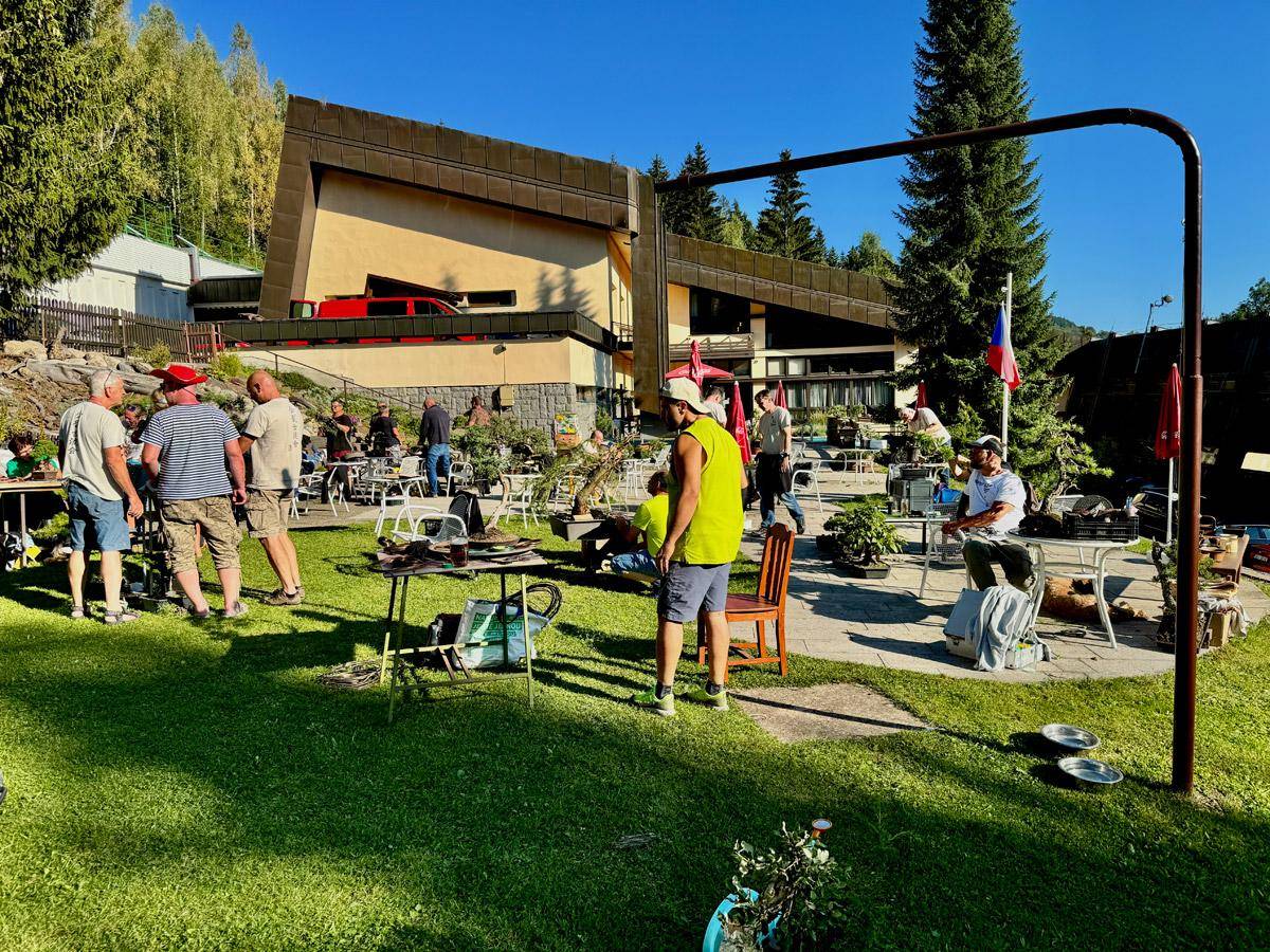 bonsai-skola-44