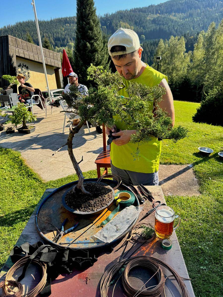 bonsai-skola-47
