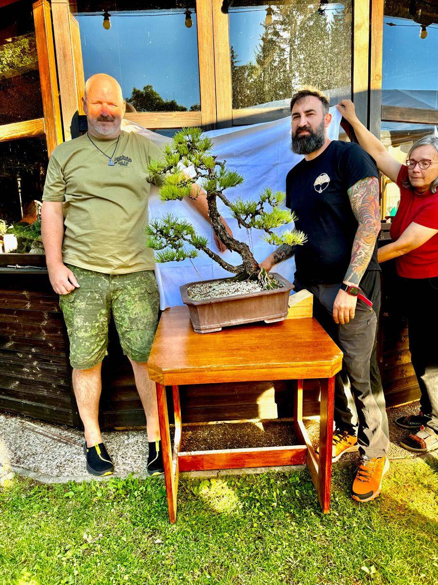 bonsai-skola-88