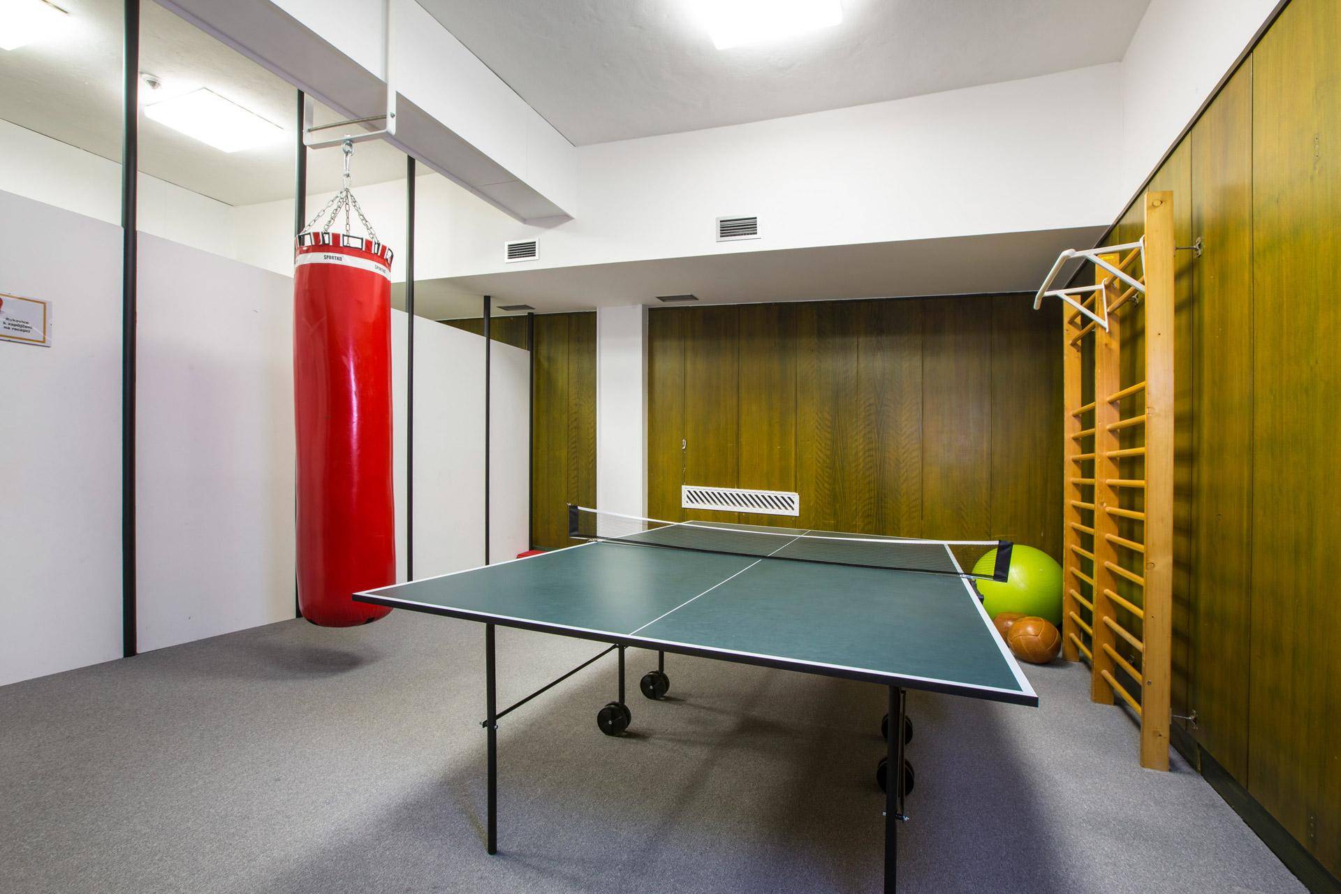 Stolní tenis